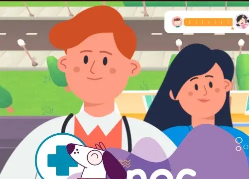 Dog Veterinary: Training Hospital Near Me - Switch