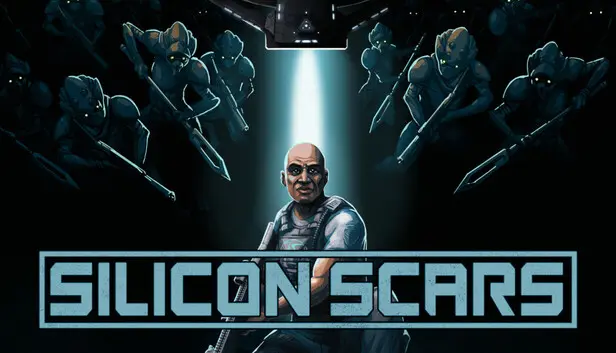 Silicon Scars