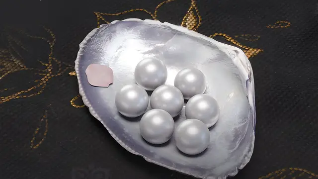 Where Winds Meet - 300 Echo Beads (PS5)