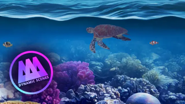 AAA Dynamic Scenes - Coral Kingdom Dynamic Scene - PS4 & PS5