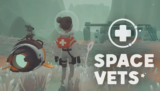 Space Vets