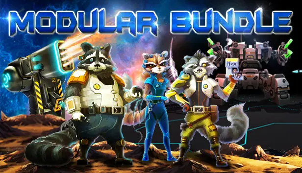 Modular Bundle