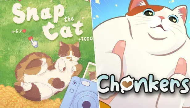 Snap the Cat + Chonkers