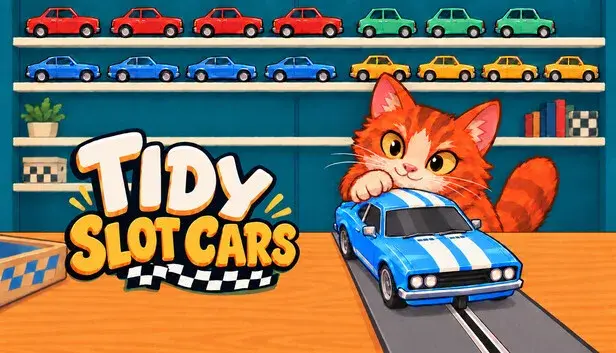 Tidy Slot Cars