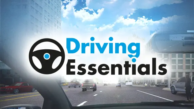 Driving Essentials - PS4