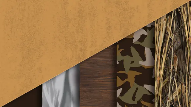 theHunter Call of the Wild - Revontuli Coast Cosmetic Pack (Xbox One)