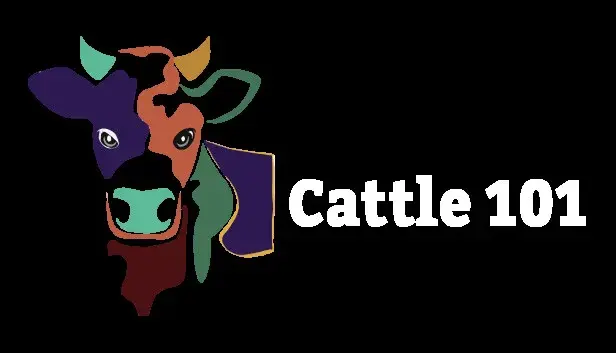 Cattle 101 - Sample Library