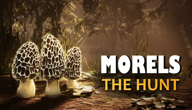 Morels: The Hunt