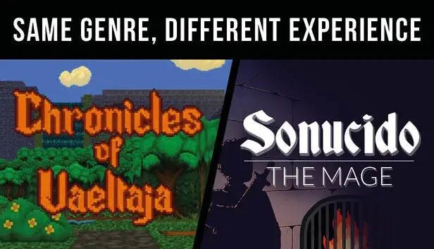 Chronicles of Vaeltaja & Sonucido: The Mage - same genre, different experience