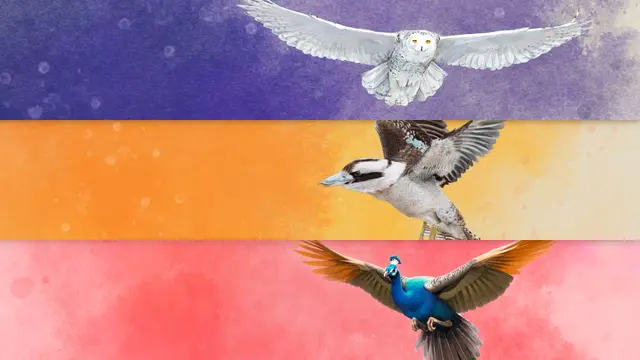 Wingspan - European + Oceania + Asia (PS4 & PS5)