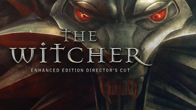 The Witcher Enhanced Edition