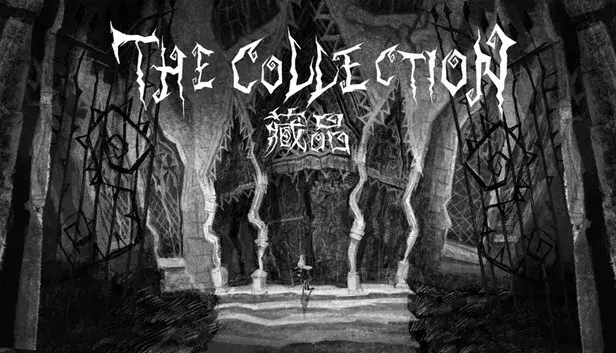 The Collection藏品