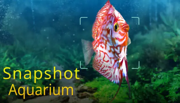 Snapshot Aquarium