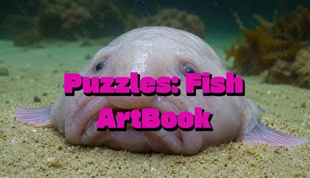 Puzzles Fish Artbook