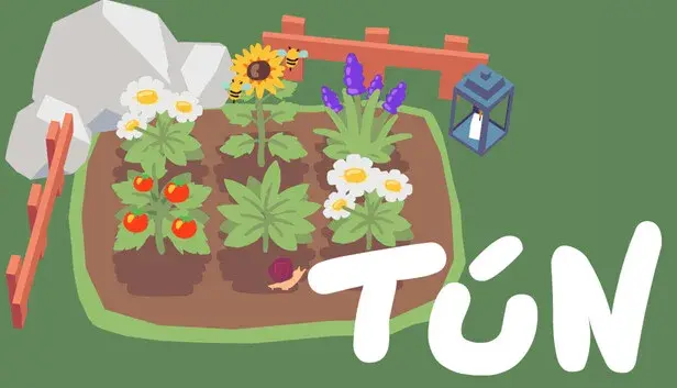 Tún