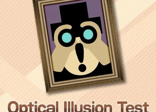 Optical Illusion Test - Switch