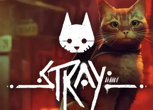 Stray - Switch