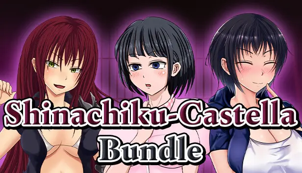 Shinachiku-castella Bundle