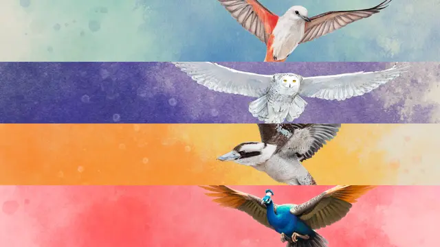 Wingspan + European + Oceania + Asia (PS4 & PS5)