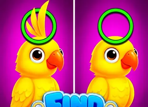 Find Difference - Switch