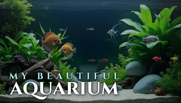 My Beautiful Aquarium