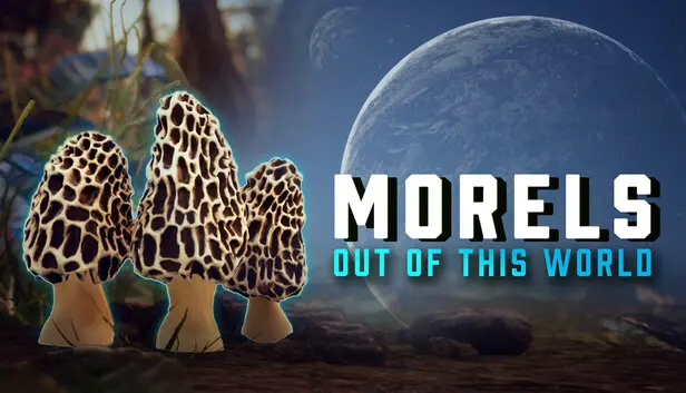 Morels: Out of this World