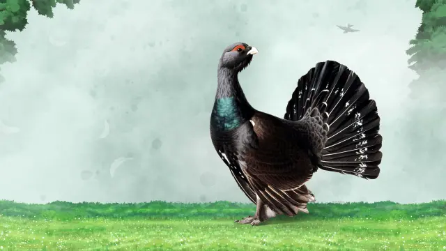 Wingspan Bird Pack: British Birds - PS4 & PS5