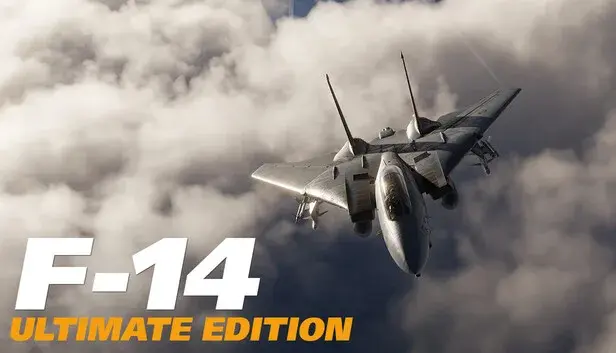 DCS: F-14 Ultimate Edition by Heatblur Simulations