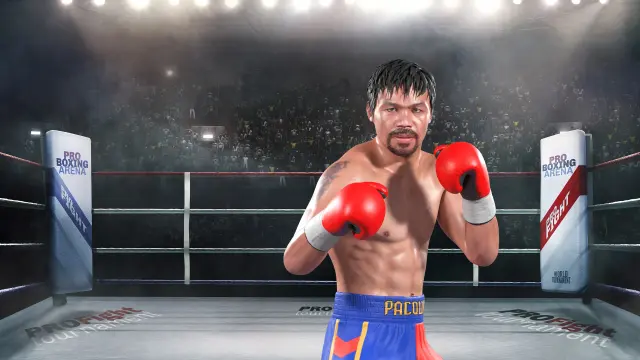 Manny Boxing VR - PS4