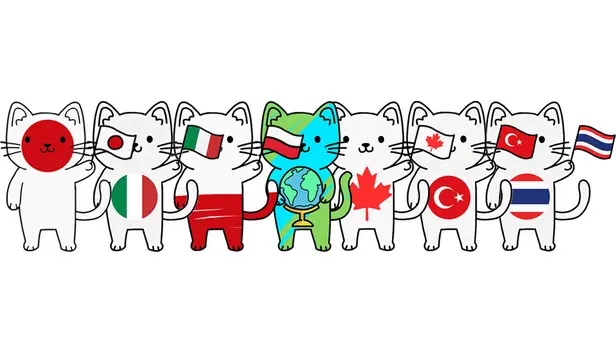 100 Cats Lost Bundle