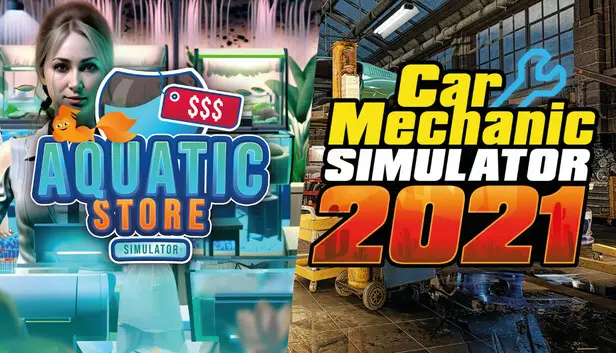 Car Mechanic in Aquatic Store