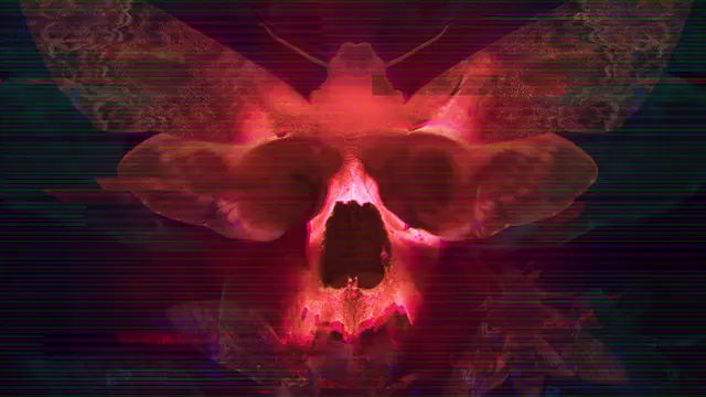 Transient: Extended (Xbox One)