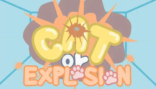 Cat Or Explosion