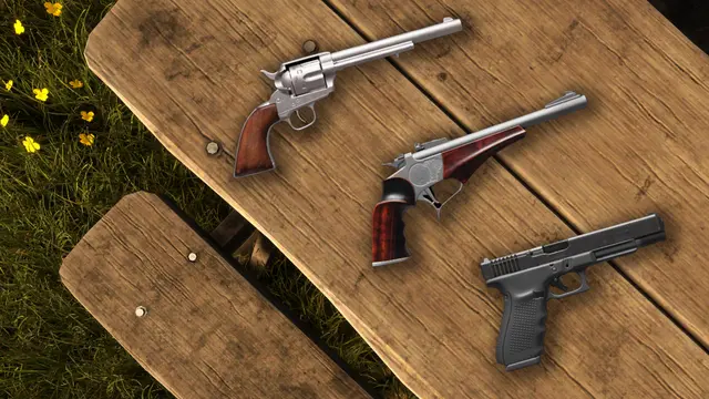 theHunter: Call of the Wild - Assorted Sidearms Pack (PS4)