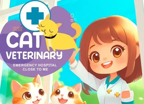 Cat Veterinary: Emergency Hospital Close to Me - Switch
