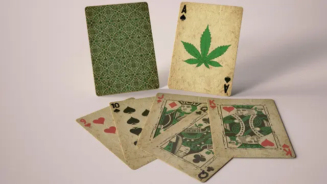 100% Hemp Card Deck (Xbox One)