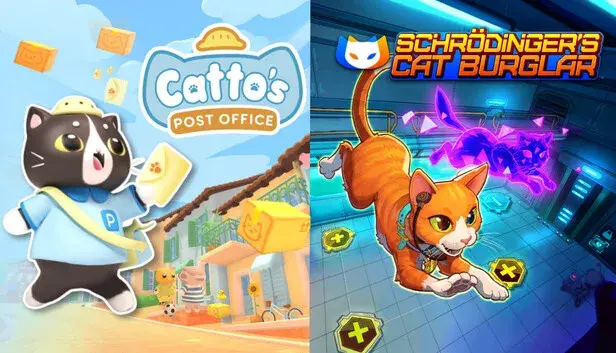 Cats and Boxes
