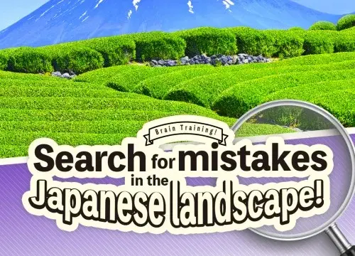 Train Your Brain! Spot the Difference with Japanese landscapes - Switch