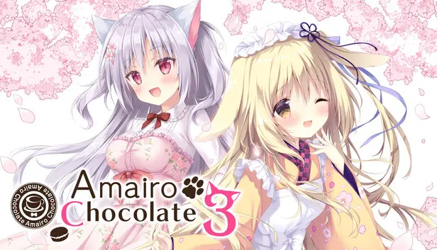 Amairo Chocolate 3