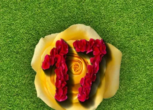 Clutter 17 Flower Power Collector's Edition - Switch