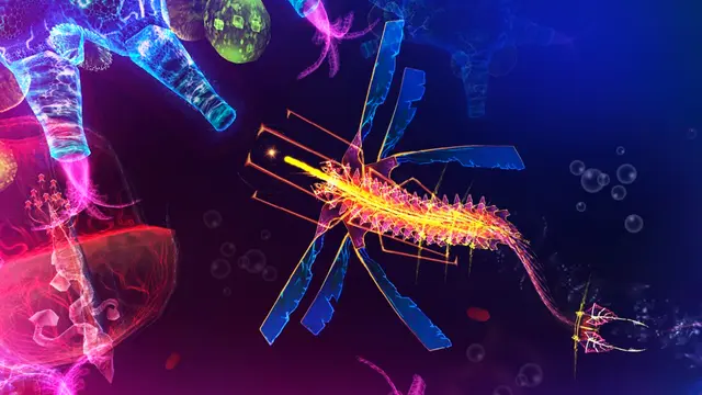 Sparkle 2 EVO (Xbox One & Series)