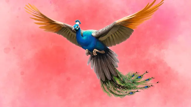 Wingspan: Asia Expansion (Xbox One & Series)