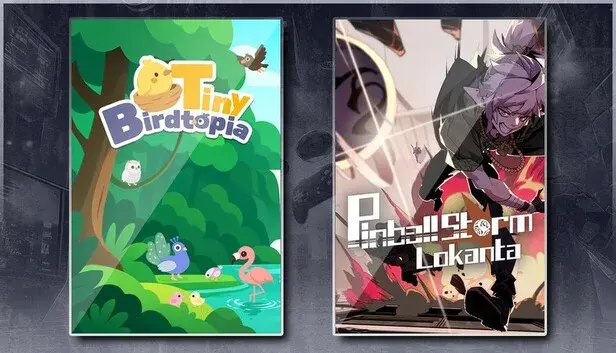 Tiny Birdtopia & Pinball Storm: Lokanta