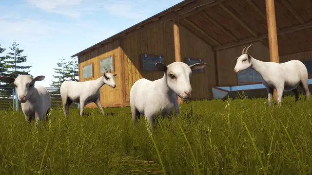 Pure Farming 2018 - Goats (Xbox One)