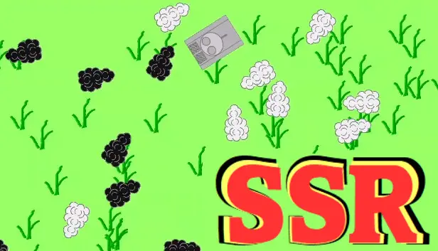 SSR