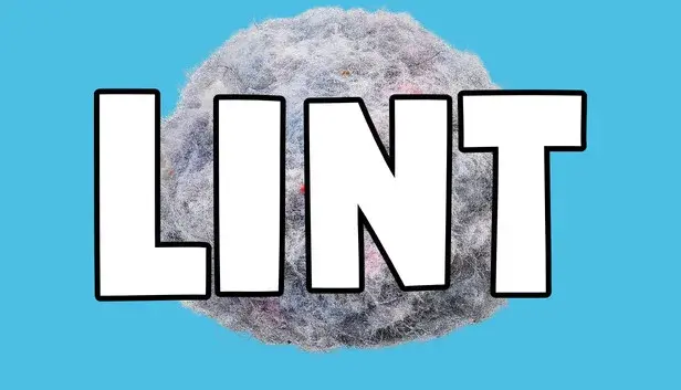 Lint