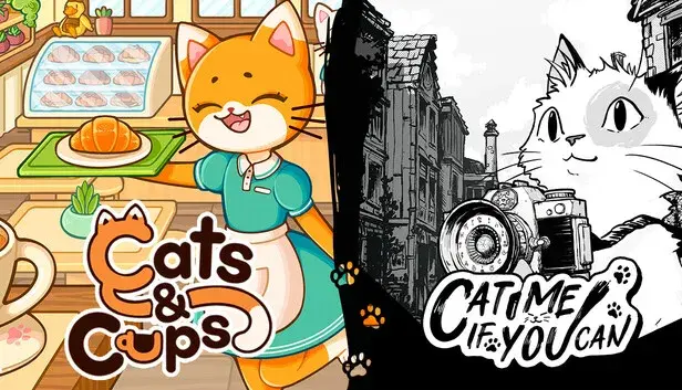 Cats & Cups x Cat Me If You Can