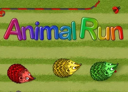 Animal Run for Kids - Switch