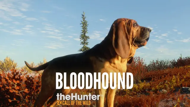 theHunter: Call of the Wild - Bloodhound (PS4)