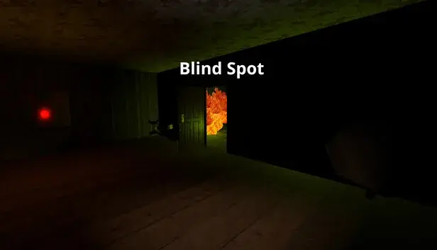 Blind Spot